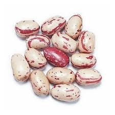 Borlotti Beans (5kg packed loose in plastic bag) - Image 2