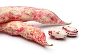Borlotti Beans (5kg packed loose in plastic bag) - Image 3