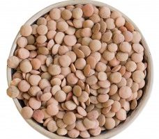 Brown Lentils (500g)