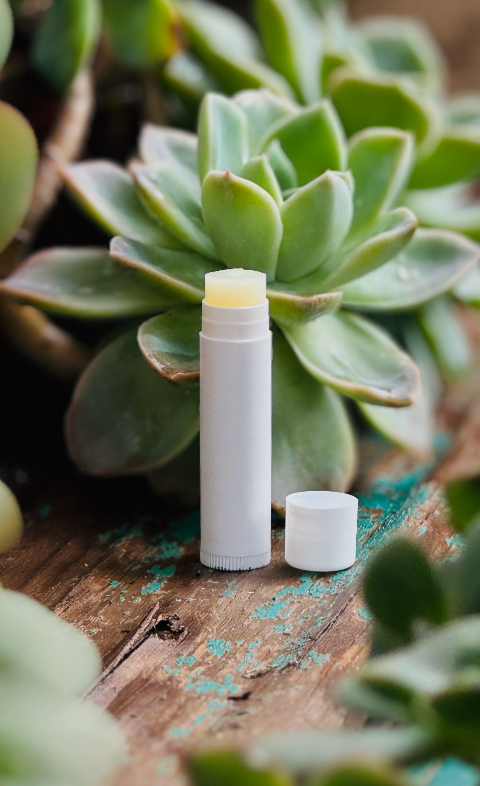 Lip Balm with Aloe and Jojoba (4.25g)